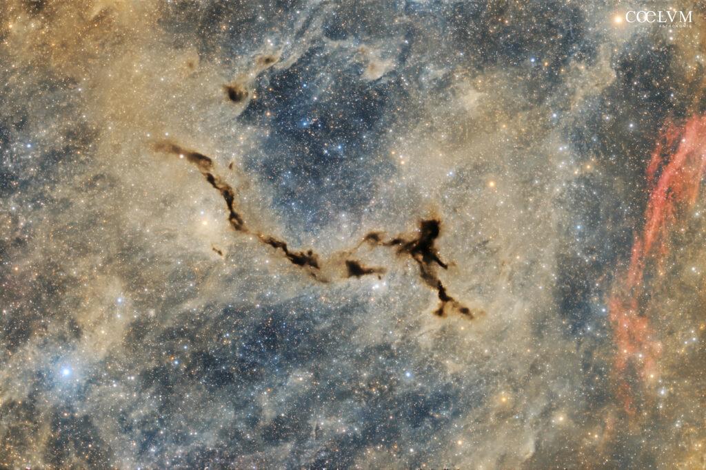 NEBULOSA CAVALLUCCIO MARINO (LDN 1081)