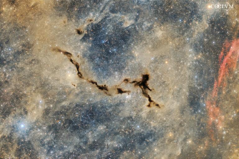 NEBULOSA CAVALLUCCIO MARINO (LDN 1081)
