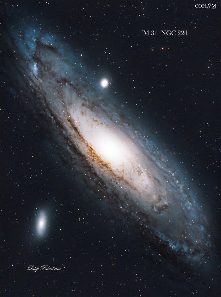 Andromeda Galaxy M 31