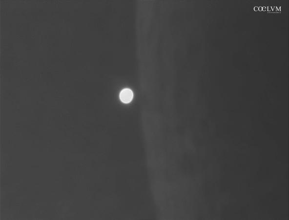 Occultazione di Venere da parte della Luna in pieno giorno