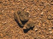 Cronache (di rocce) Marziane