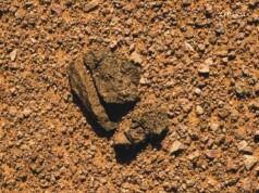 Cronache (di rocce) Marziane