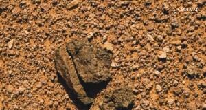 Cronache (di rocce) Marziane