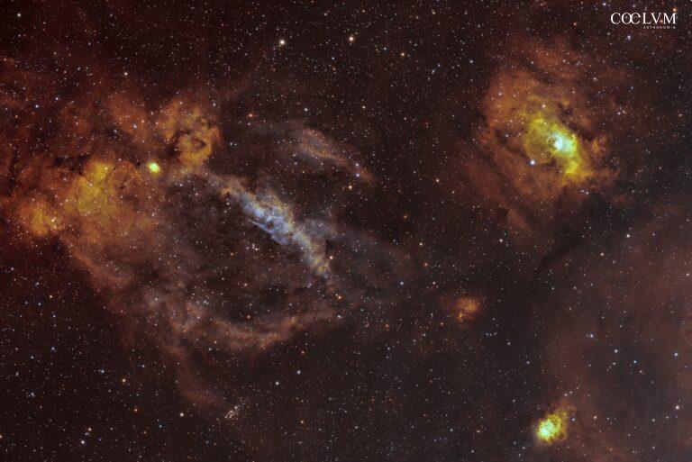 The Lobster and the Bubble