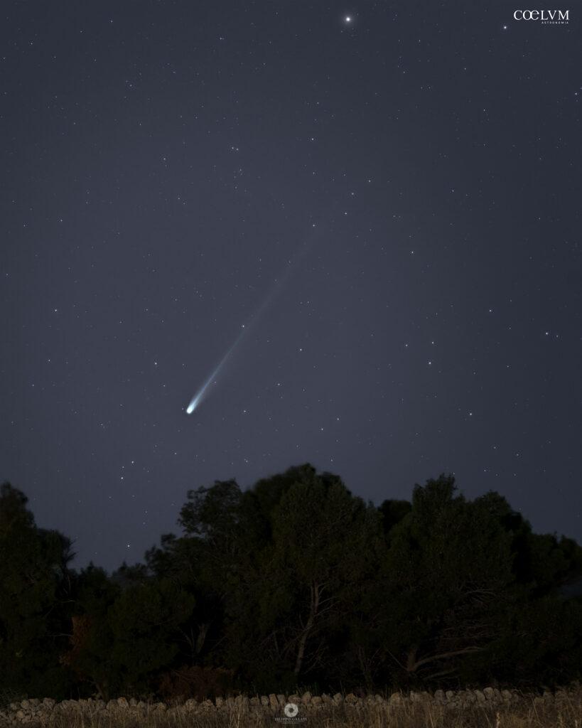 Cometa C/2025 A6 (Lemmon)