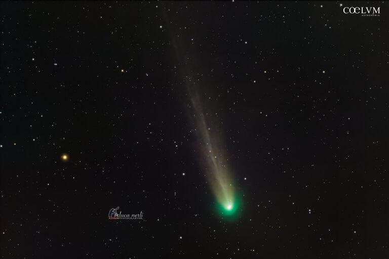Cometa C/2025 A6 Lemmon