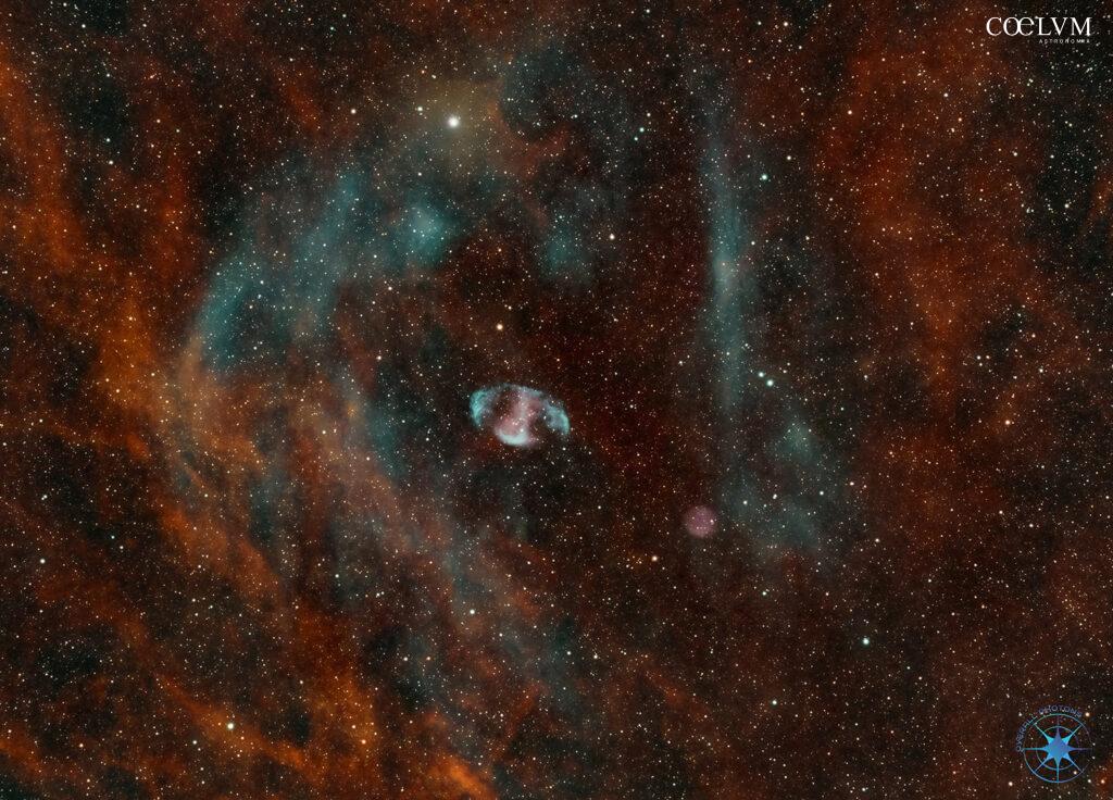 MPW1 & ALV1 nel Cigno