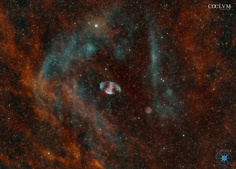 MPW1 & ALV1 nel Cigno