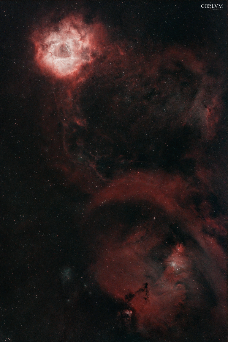 Rosette & Christmas three