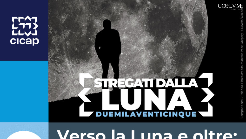 SDL25_post-1080x1350_MARC-0410-PU