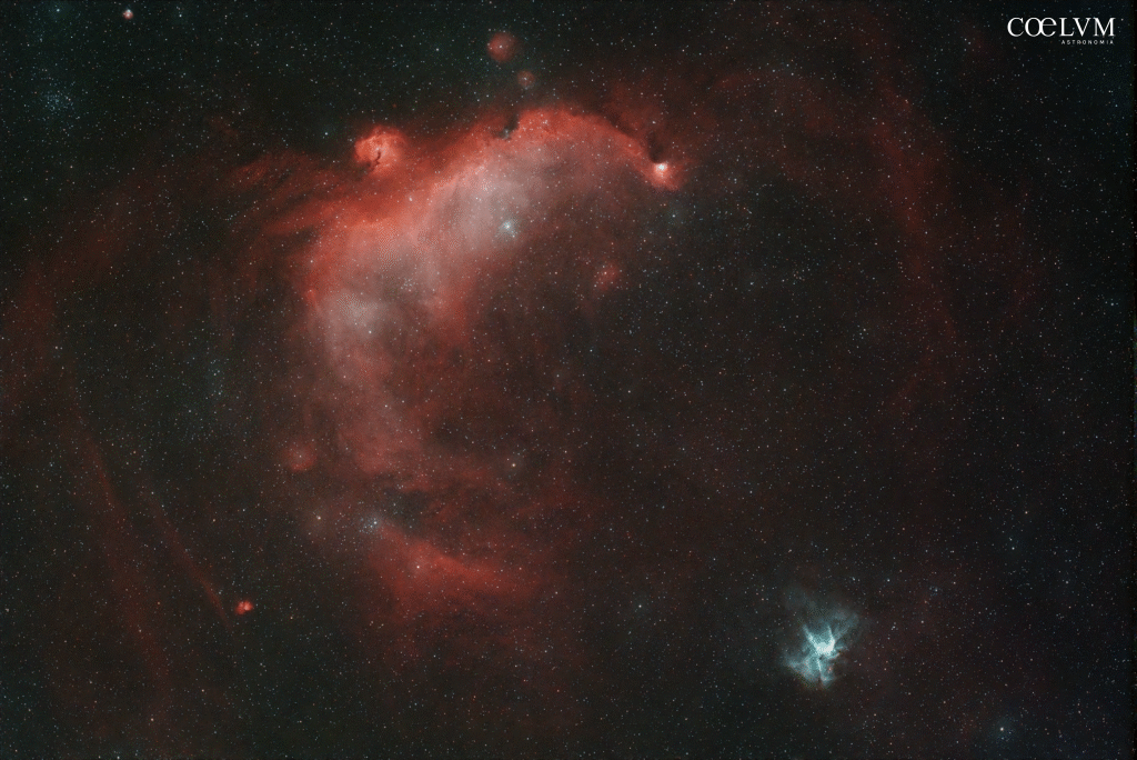 IC2177 Seagull Nebula e NGC 2359 Elmo di Thor