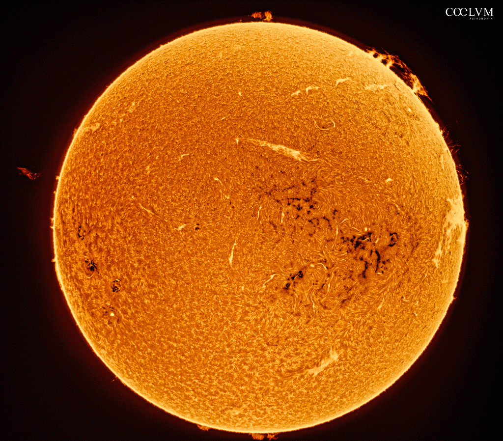 Disco solare in h alpha