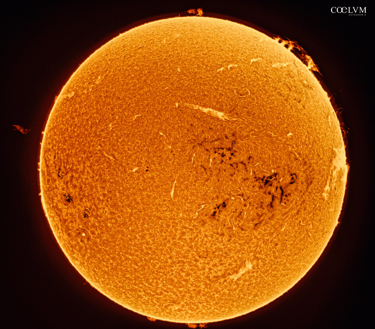 Disco solare in h alpha