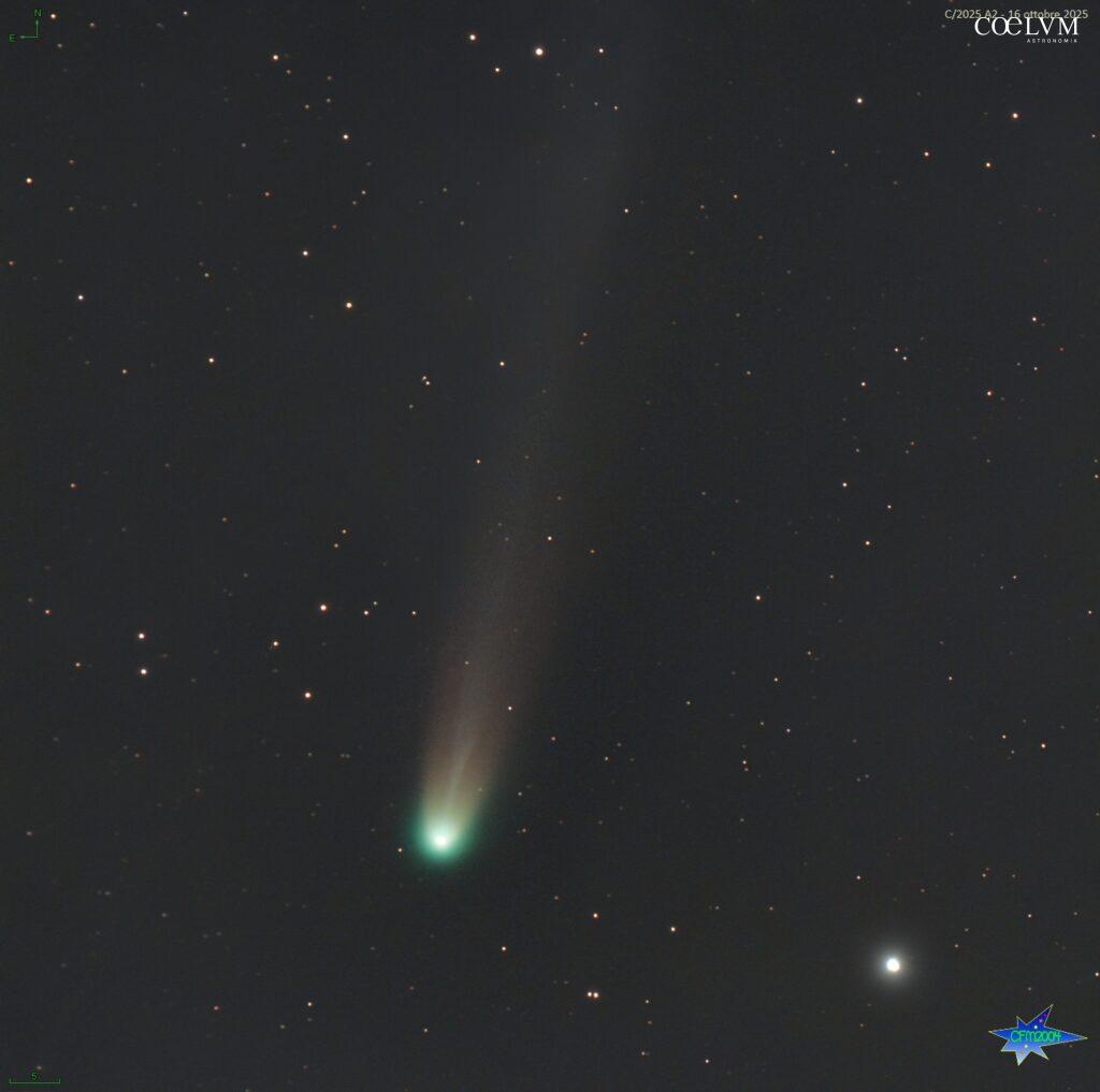 Cometa C/2025 A6 Lemmon accanto a Cor Caroli