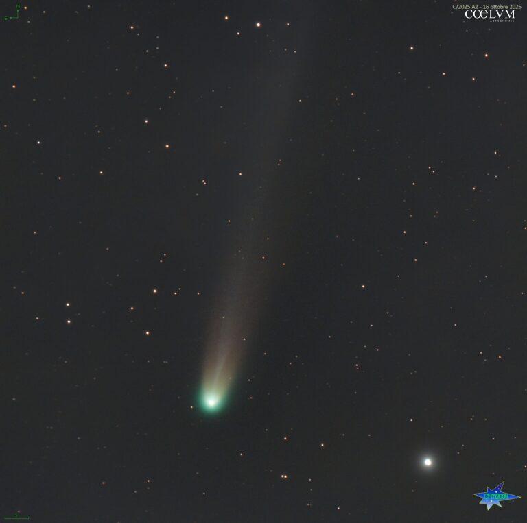 Cometa C/2025 A6 Lemmon accanto a Cor Caroli