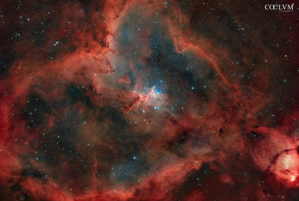 Un grande cuore nella nostra Galassia