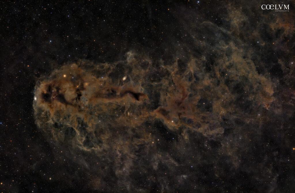 Un “Pesce” nel Cefeo