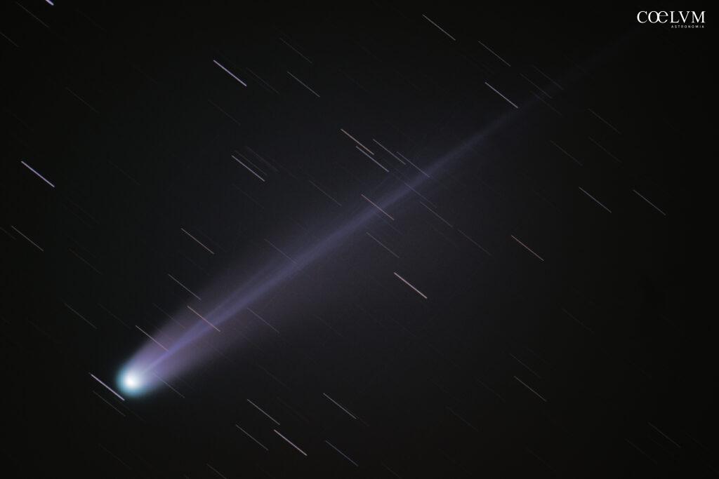 Cometa Lemmon