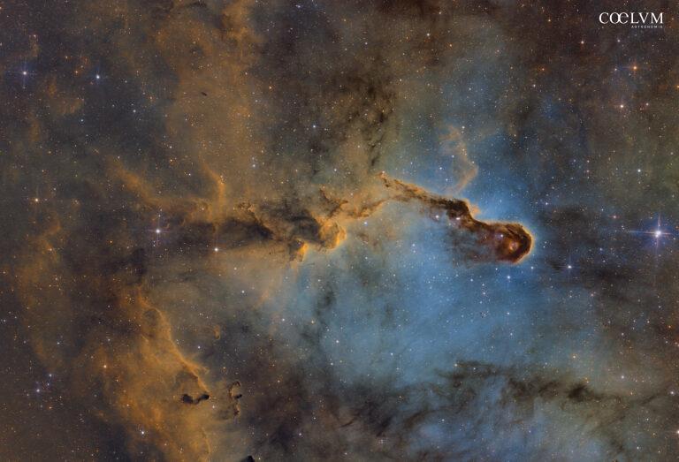 IC-1396A Elephant’s Trunk