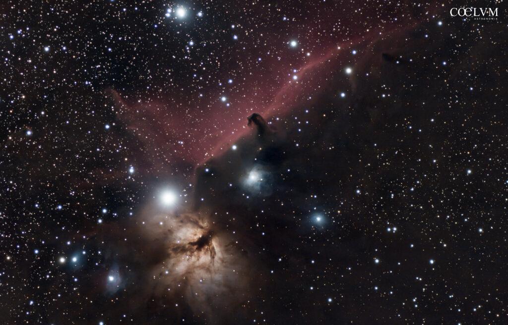 TESTA DI CAVALLO E NEBULOSA FIAMMA