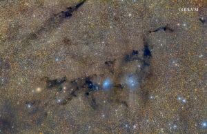 Nebulosa Mostro di Loch Ness LDN 768-769-722