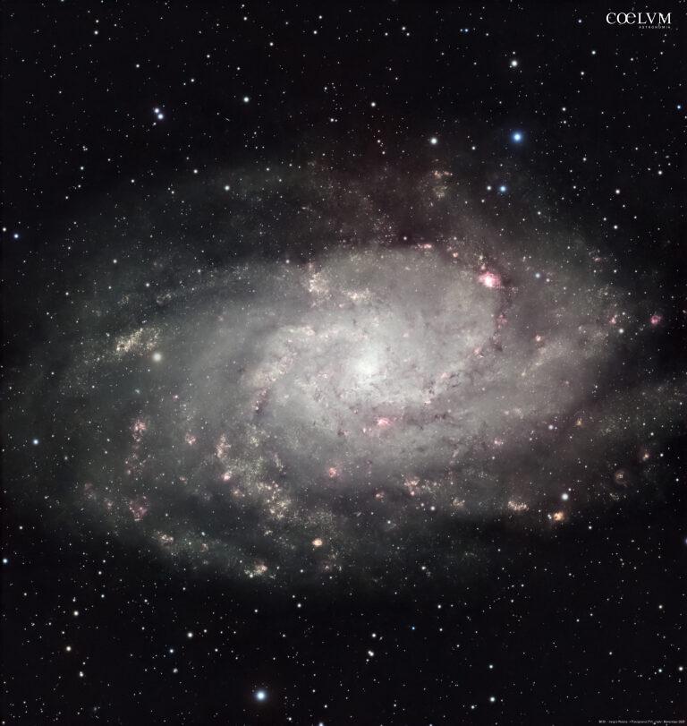 M 33 – Galassia Triangolo