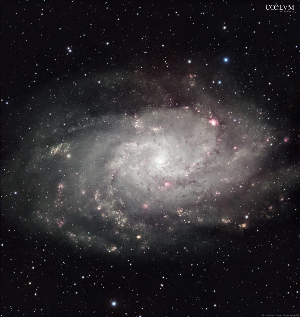 M 33 – Galassia Triangolo