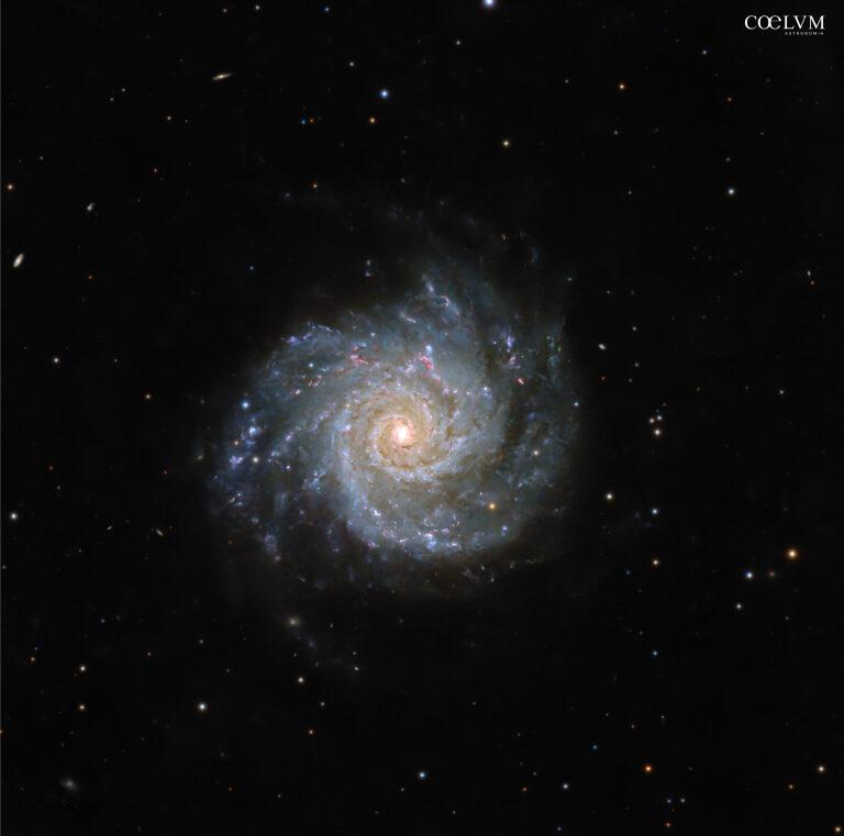 M74: galassia a spirale nella costellazione dei Pesci.