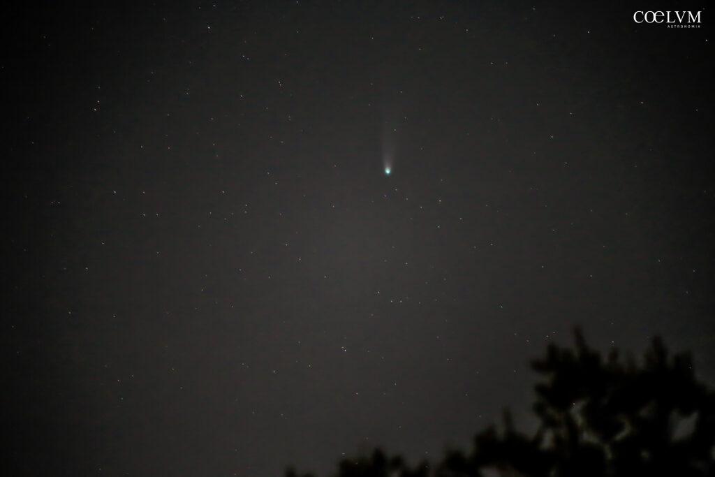 Cometa C/2025 A6 Lemmon