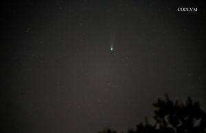 Cometa C/2025 A6 Lemmon