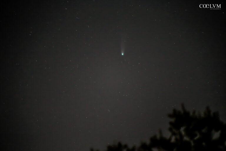 Cometa C/2025 A6 Lemmon