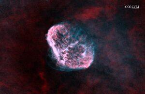 NGC 6888 Nebulosa Crescente