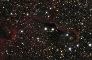 vdB 142 – Nebulosa Proboscide di Elefante