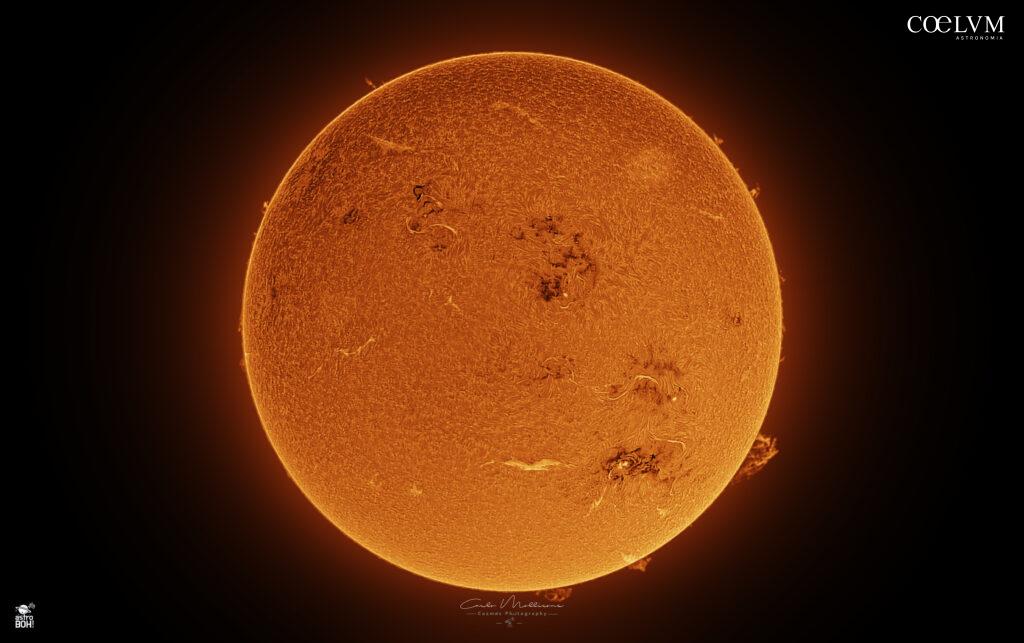 Immagine solare in H-alpha