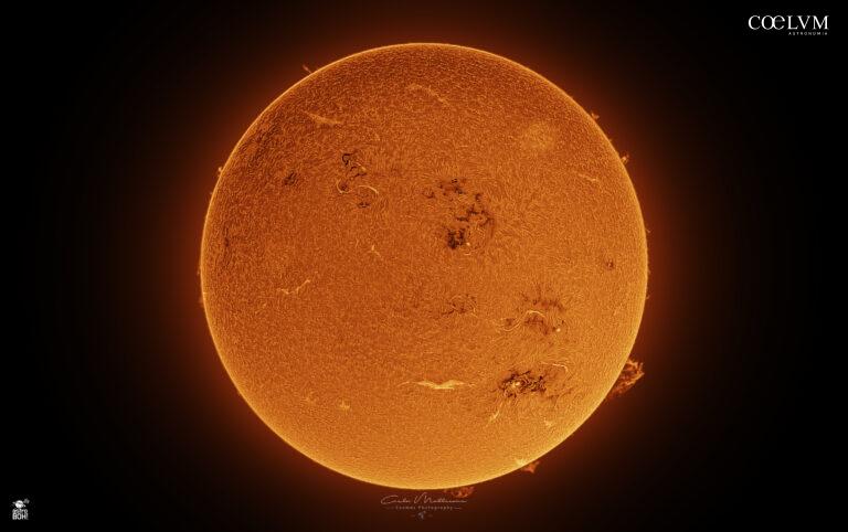 Immagine solare in H-alpha
