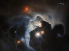 Baby-Stelle nel Toro – GN 04.32.8