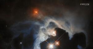 Baby-Stelle nel Toro – GN 04.32.8