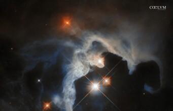 Baby-Stelle nel Toro – GN 04.32.8