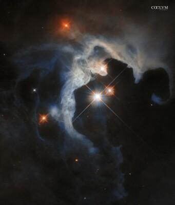 Baby-Stelle nel Toro – GN 04.32.8