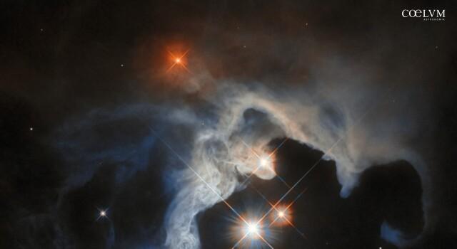 Baby-Stelle nel Toro – GN 04.32.8