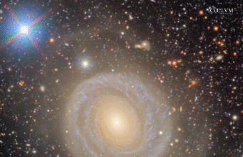 Una Galassia Elegante dal Cuore Oscuro NGC 4378