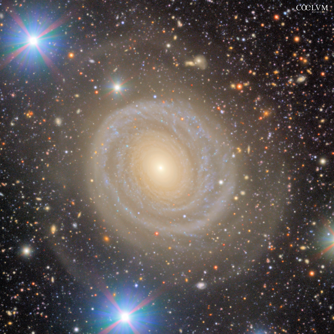 Una Galassia Elegante dal Cuore Oscuro NGC 4378