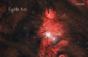 NGC 2264 Nebulosa Cono