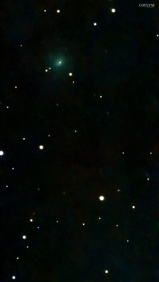 COMETA 24P/Schaumasse