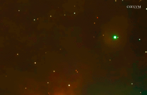 NEBULOSA FIAMMA NGC 2024