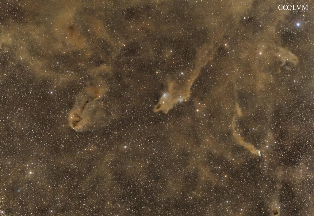 Complesso nebulose oscure nel Cefeo