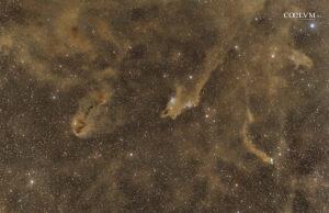 Complesso nebulose oscure nel Cefeo