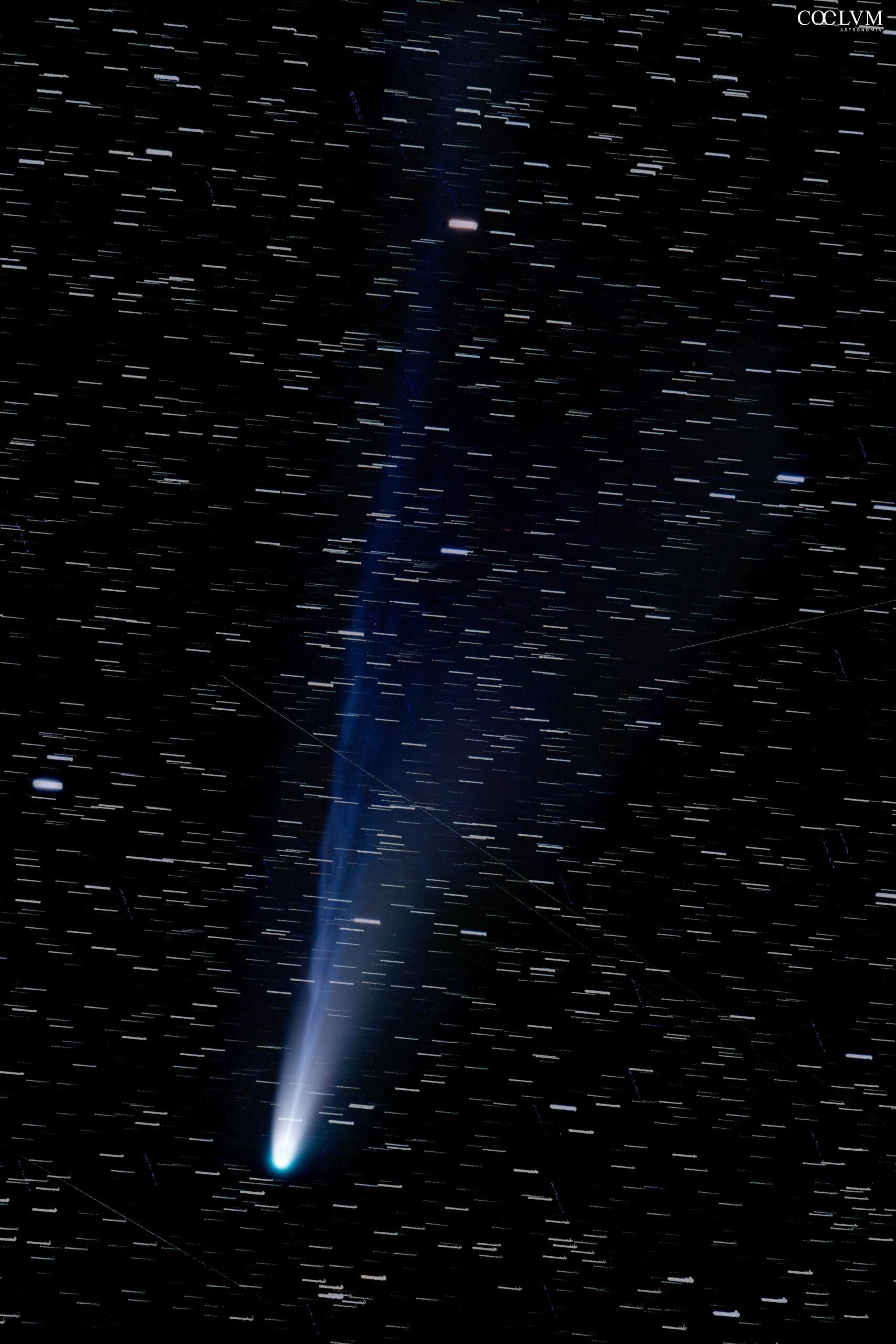 Cometa C/2025 A6 (Lemmon)