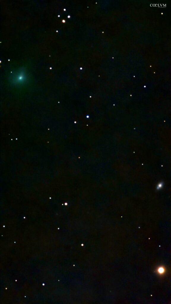 Una cometa nel cielo di natale 2025: 24P Schaumasse, una antica viaggiatrice del sistema solare che passa a salutare il Natale.