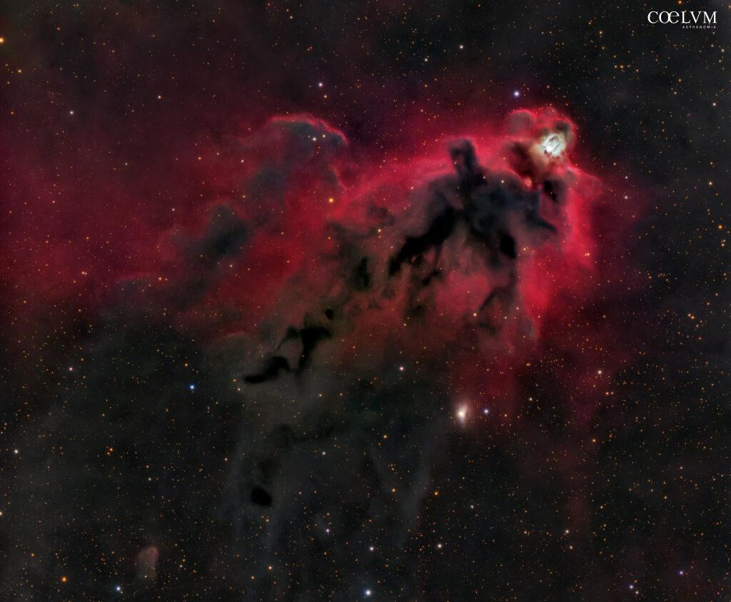 LDN1622: “l’Uomo nero”